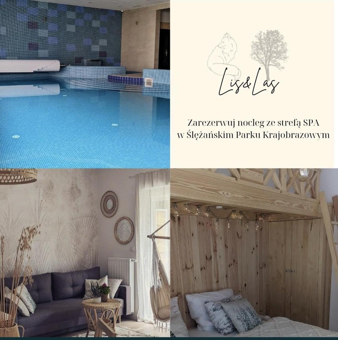 Apartament&Spa Lis&Las Sobótka Eksteriør billede